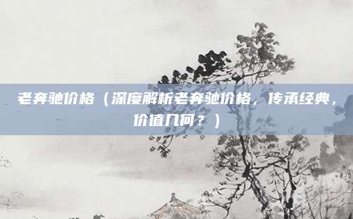 老奔驰价格(深度解析老奔驰价格,传承经典,价值几何?)