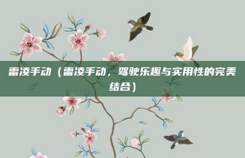 雷凌手动（雷凌手动，驾驶乐趣与实用性的完美结合）