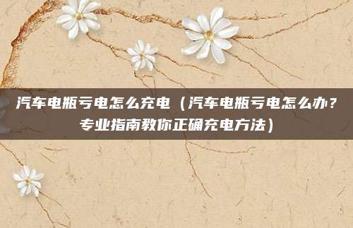 汽车电瓶亏电怎么充电（汽车电瓶亏电怎么办？专业指南教你正确充电方法）