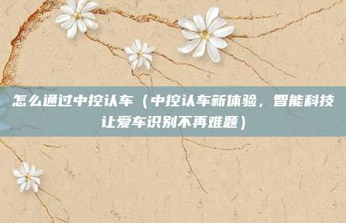 怎么通过中控认车(中控认车新体验,智能科技让爱车识别不再难题)