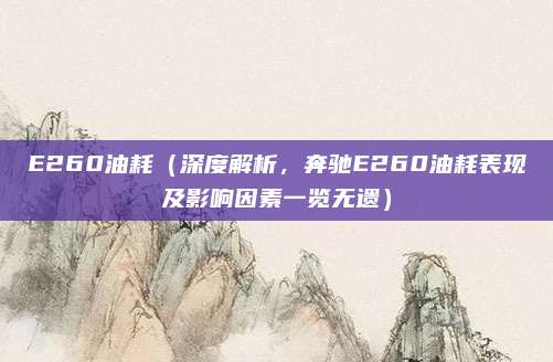 E260油耗(深度解析,奔驰E260油耗表现及影响因素一览无遗)