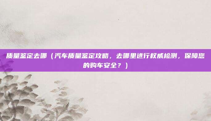 质量鉴定去哪(汽车质量鉴定攻略,去哪里进行权威检测,保障您的购车安全?)