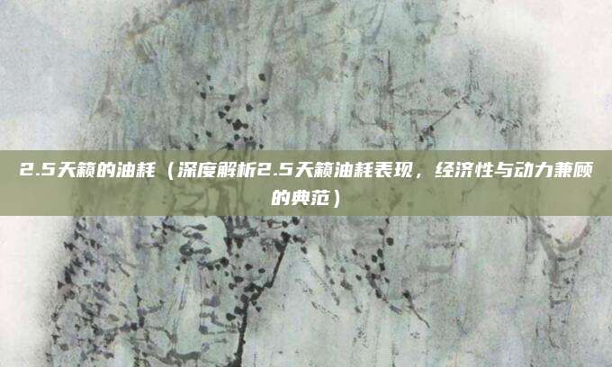 2.5天籁的油耗（深度解析2.5天籁油耗表现，经济性与动力兼顾的典范）