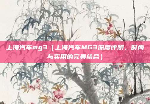 上海汽车mg3（上海汽车MG3深度评测，时尚与实用的完美结合）
