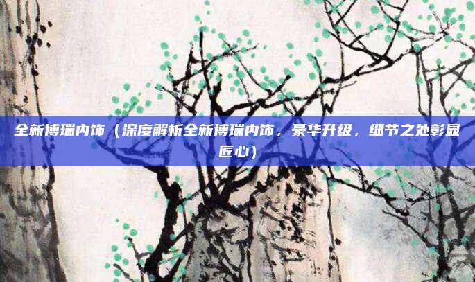 全新博瑞内饰（深度解析全新博瑞内饰，豪华升级，细节之处彰显匠心）