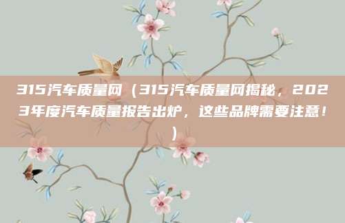 315汽车质量网（315汽车质量网揭秘，2023年度汽车质量报告出炉，这些品牌需要注意！）