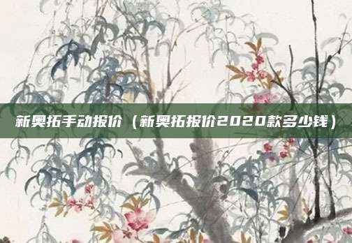 新奥拓手动报价(新奥拓报价2020款多少钱)