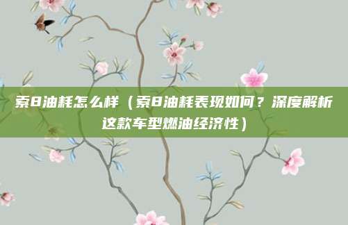 索8油耗怎么样（索8油耗表现如何？深度解析这款车型燃油经济性）