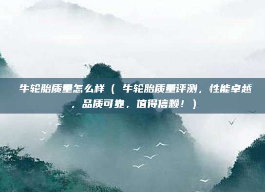 犇牛轮胎质量怎么样(犇牛轮胎质量评测,性能卓越,品质可靠,值得信赖!)