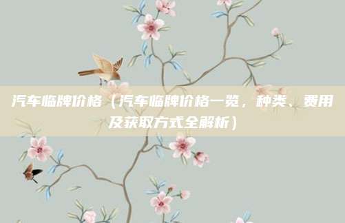 汽车临牌价格（汽车临牌价格一览，种类、费用及获取方式全解析）