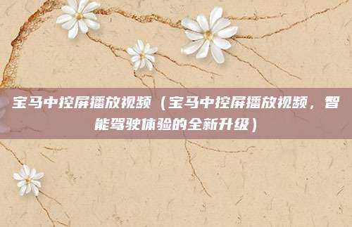 宝马中控屏播放视频（宝马中控屏播放视频，智能驾驶体验的全新升级）