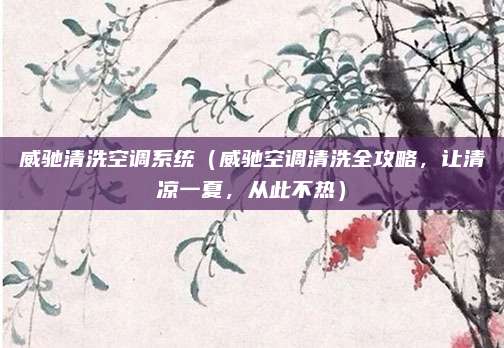 威驰清洗空调系统（威驰空调清洗全攻略，让清凉一夏，从此不热）