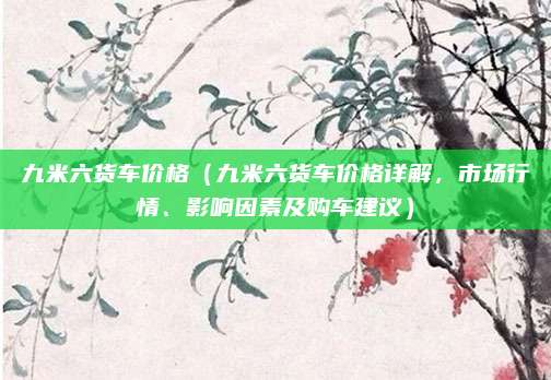 九米六货车价格（九米六货车价格详解，市场行情、影响因素及购车建议）
