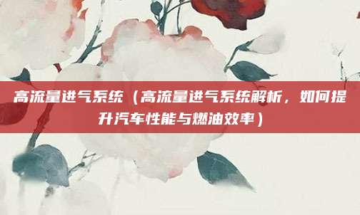 高流量进气系统(高流量进气系统解析,如何提升汽车性能与燃油效率)