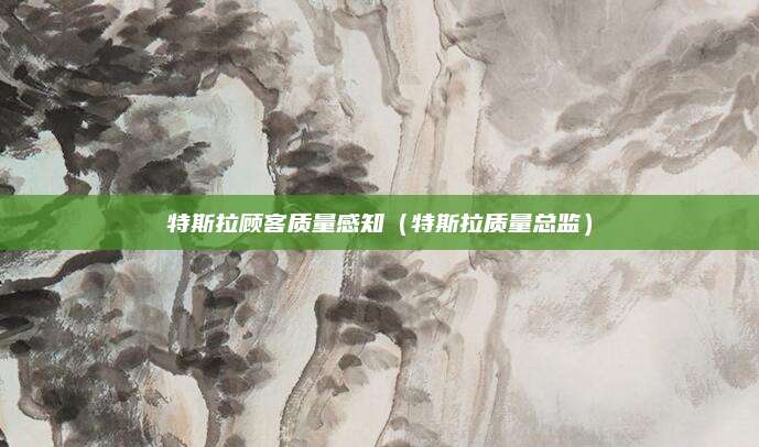 特斯拉顾客质量感知(特斯拉质量总监)