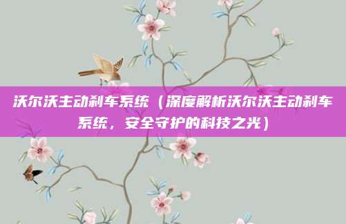 沃尔沃主动刹车系统（深度解析沃尔沃主动刹车系统，安全守护的科技之光）