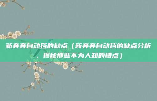 新奔奔自动挡的缺点(新奔奔自动挡的缺点分析,揭秘那些不为人知的槽点)