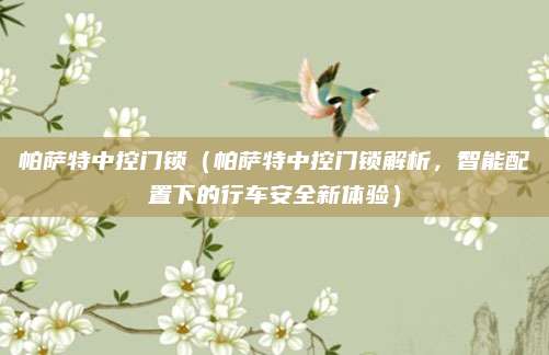 帕萨特中控门锁（帕萨特中控门锁解析，智能配置下的行车安全新体验）