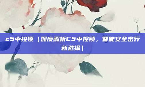 c5中控锁（深度解析C5中控锁，智能安全出行新选择）