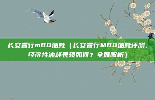 长安睿行m80油耗（长安睿行M80油耗评测，经济性油耗表现如何？全面解析）