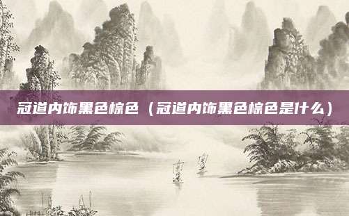 冠道内饰黑色棕色(冠道内饰黑色棕色是什么)