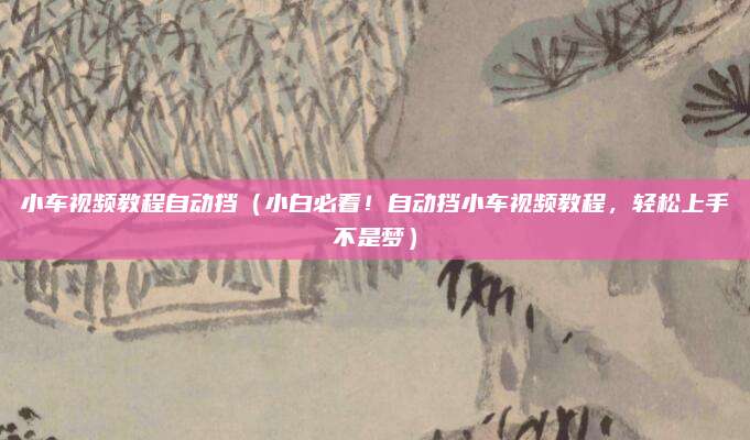 小车视频教程自动挡（小白必看！自动挡小车视频教程，轻松上手不是梦）