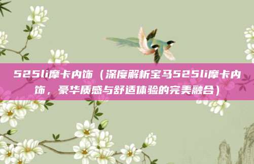 525li摩卡内饰（深度解析宝马525li摩卡内饰，豪华质感与舒适体验的完美融合）