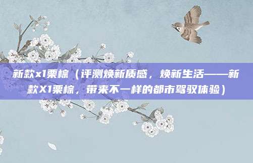 新款x1栗棕(评测焕新质感,焕新生活——新款X1栗棕,带来不一样的都市驾驭体验)