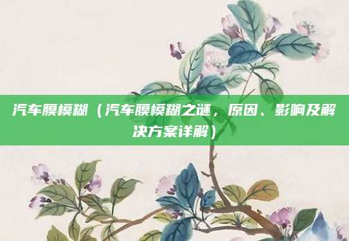 汽车膜模糊(汽车膜模糊之谜,原因、影响及解决方案详解)