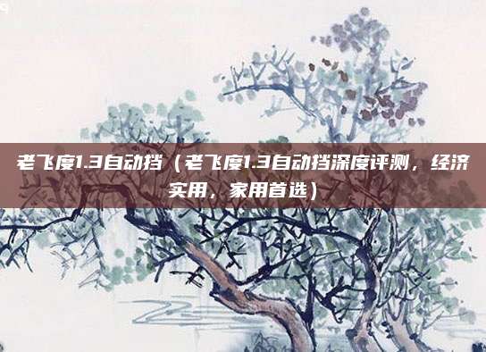 老飞度1.3自动挡（老飞度1.3自动挡深度评测，经济实用，家用首选）