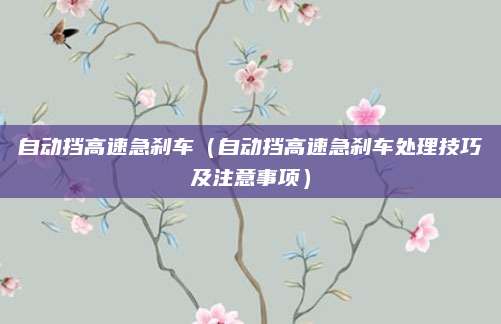 自动挡高速急刹车(自动挡高速急刹车处理技巧及注意事项)