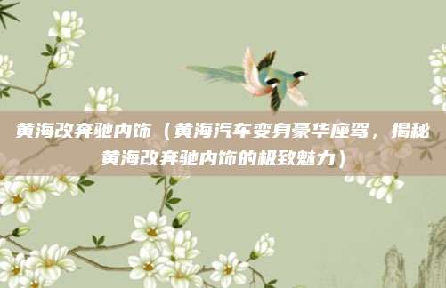 黄海改奔驰内饰（黄海汽车变身豪华座驾，揭秘黄海改奔驰内饰的极致魅力）