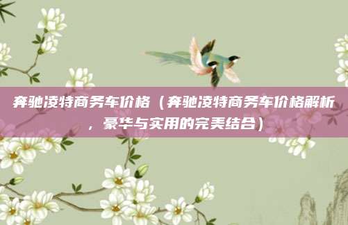 奔驰凌特商务车价格（奔驰凌特商务车价格解析，豪华与实用的完美结合）
