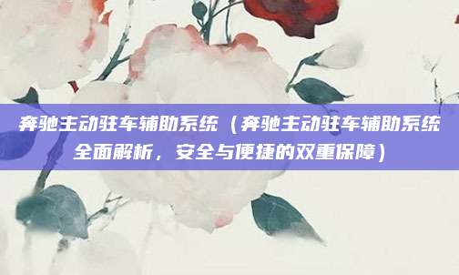 奔驰主动驻车辅助系统(奔驰主动驻车辅助系统全面解析,安全与便捷的双重保障)