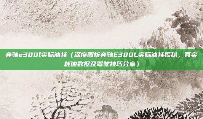 奔驰e300l实际油耗（深度解析奔驰E300L实际油耗揭秘，真实耗油数据及驾驶技巧分享）