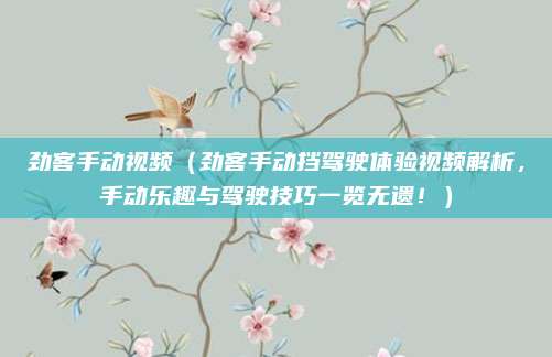 劲客手动视频（劲客手动挡驾驶体验视频解析，手动乐趣与驾驶技巧一览无遗！）