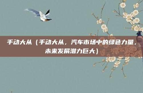 手动大从(手动大从,汽车市场中的绿色力量,未来发展潜力巨大)
