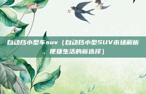 自动挡小型车suv(自动挡小型SUV市场解析,便捷生活的新选择)