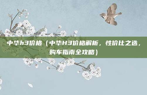 中华h3价格(中华H3价格解析,性价比之选,购车指南全攻略)
