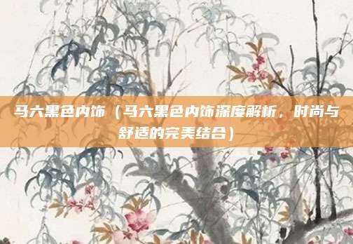 马六黑色内饰（马六黑色内饰深度解析，时尚与舒适的完美结合）