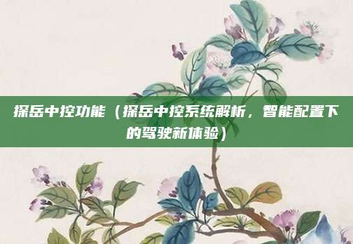 探岳中控功能(探岳中控系统解析,智能配置下的驾驶新体验)
