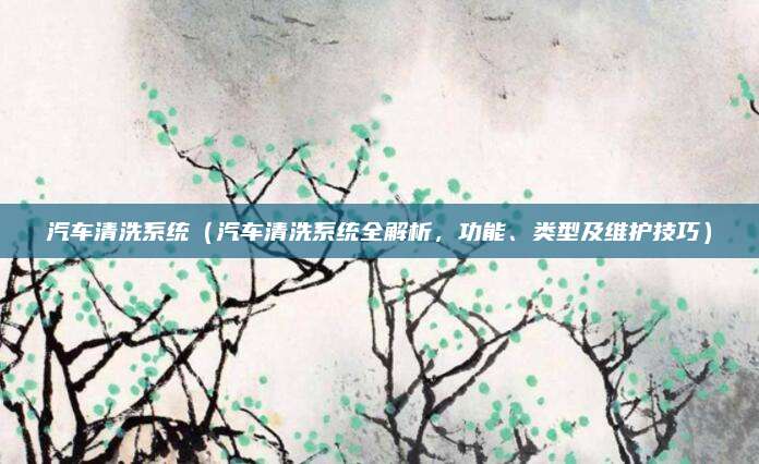 汽车清洗系统(汽车清洗系统全解析,功能、类型及维护技巧)