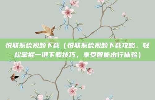 悦联系统视频下载（悦联系统视频下载攻略，轻松掌握一键下载技巧，享受智能出行体验）