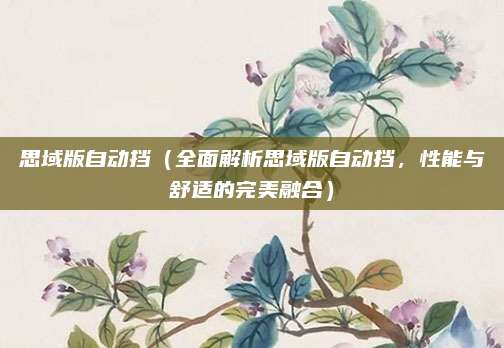 思域版自动挡（全面解析思域版自动挡，性能与舒适的完美融合）