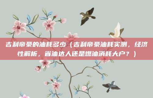 吉利帝豪的油耗多少(吉利帝豪油耗实测,经济性解析,省油达人还是燃油消耗大户?)