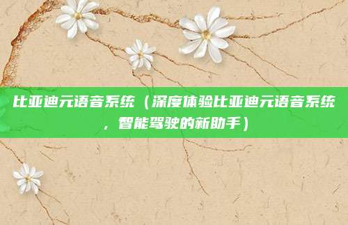 比亚迪元语音系统(深度体验比亚迪元语音系统,智能驾驶的新助手)