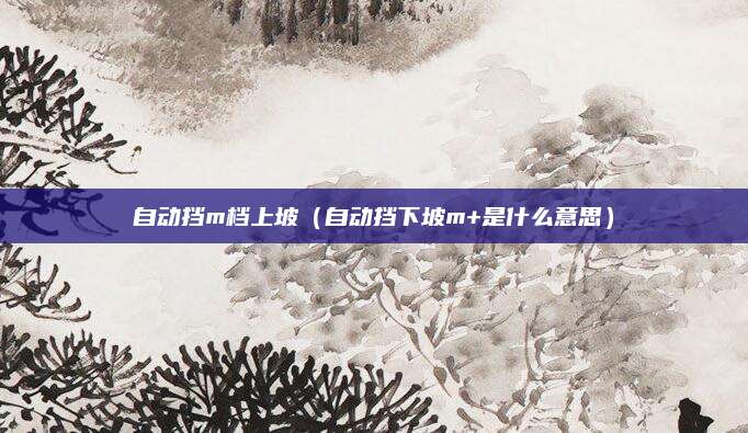 自动挡m档上坡(自动挡下坡m+是什么意思)