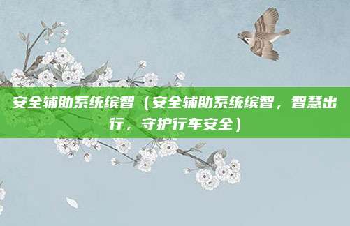 安全辅助系统缤智（安全辅助系统缤智，智慧出行，守护行车安全）