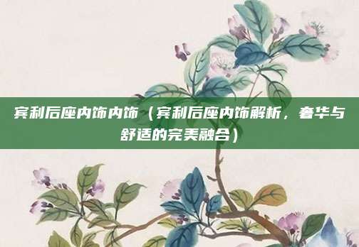 宾利后座内饰内饰(宾利后座内饰解析,奢华与舒适的完美融合)