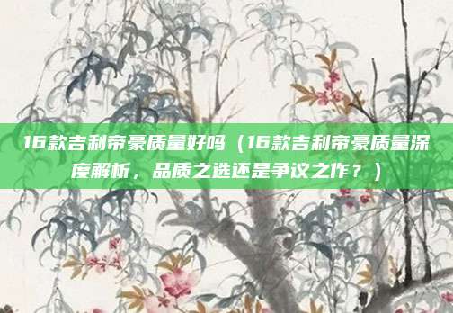 16款吉利帝豪质量好吗（16款吉利帝豪质量深度解析，品质之选还是争议之作？）